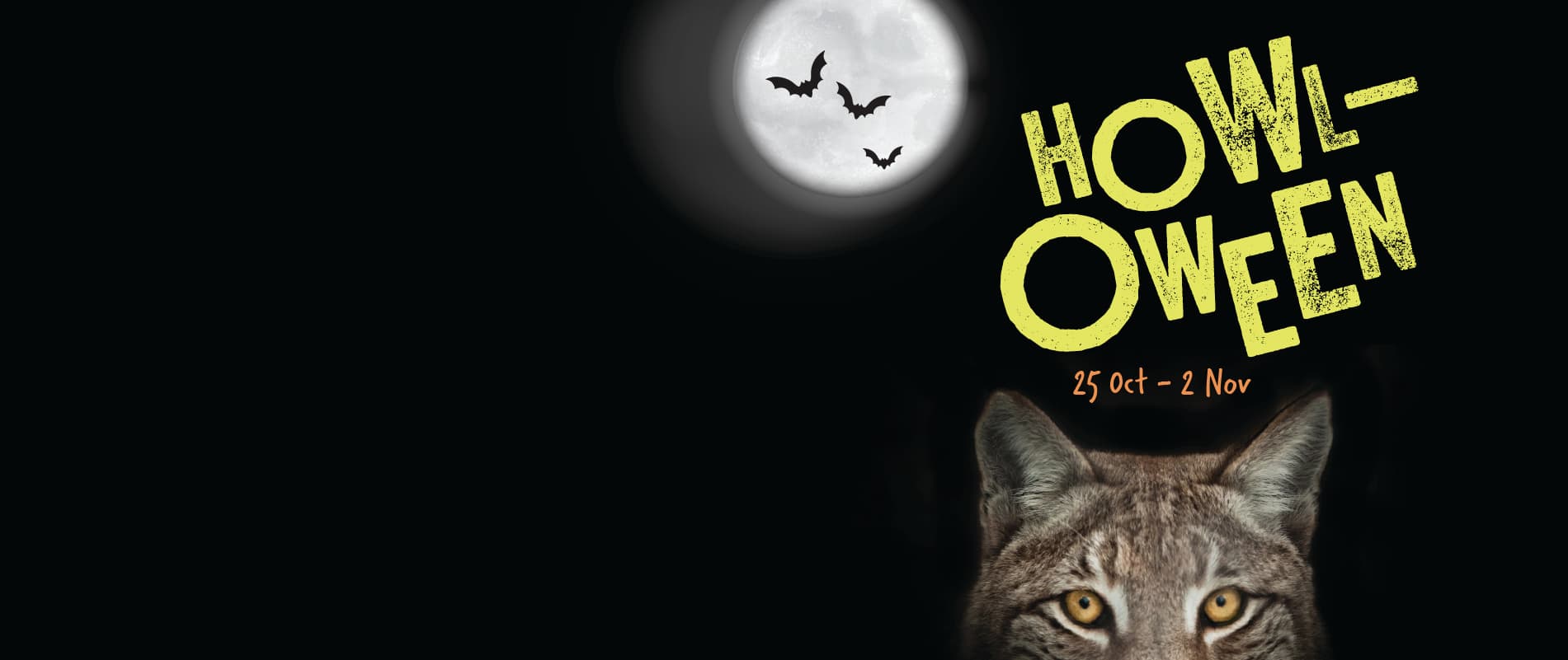 A full moon with bats, "Howl-Oween" text, and a lynx's head below. Event dates: 25 Oct - 2 Nov.