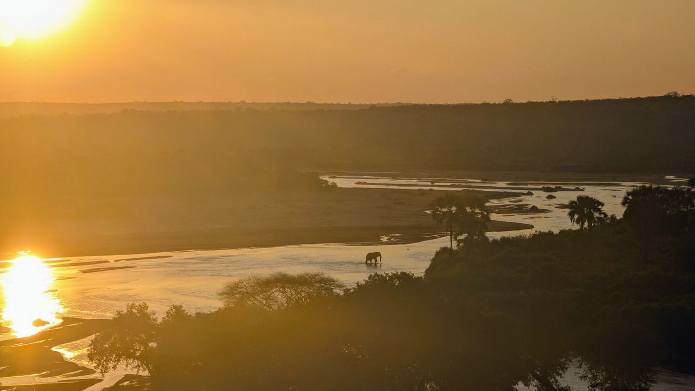 Elephant figure walking through a river as the sun sets behind with an orange glow and shadows